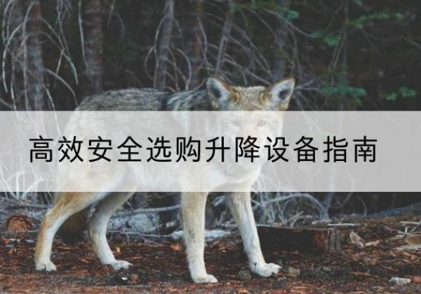 盂县升降货梯厂家推荐-*安全选购升降设备指南