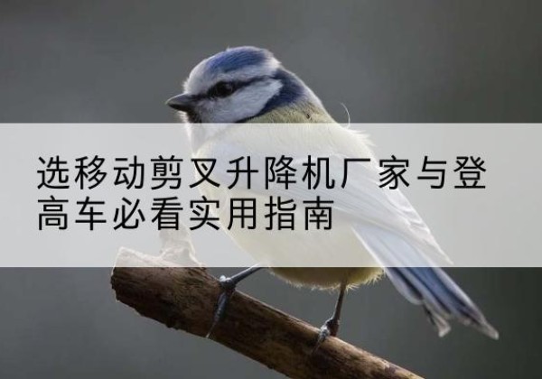 盂县电动升降机厂家-选移动剪叉升降机厂家与登高车必看实用指南